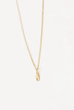 Tiny Lobster Claw Necklace