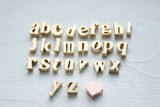 Lower Case Letter Charm